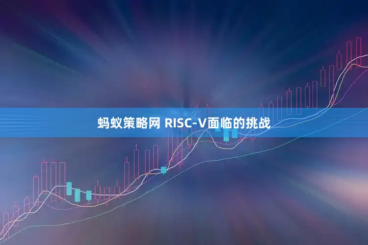 蚂蚁策略网 RISC-V面临的挑战